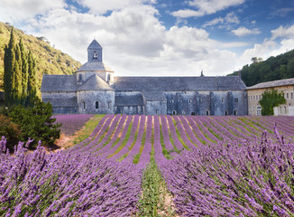 Senanque Abbey in Vaucluse, Provence, France