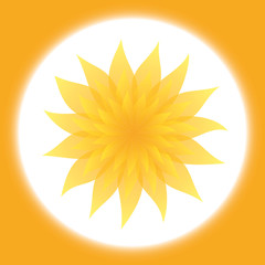 Sunny Yellow Flower in Orange Frame