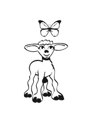 sheep butterfly sweet lamb