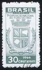 Obraz premium Arms of Santa Cruz