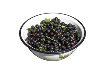 Bowl with black currants.