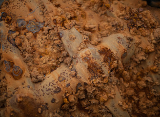 Rust