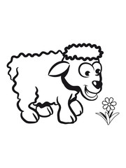 sheep , lamb, sweet flower