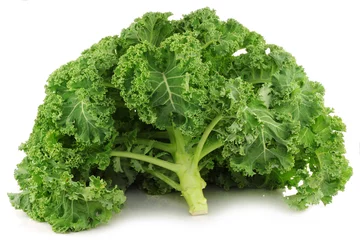 Poster freshly harvested whole kale cabbage on a white background © tpzijl