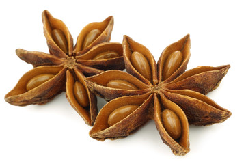 dried star anise  (Illicium verum) on a white background