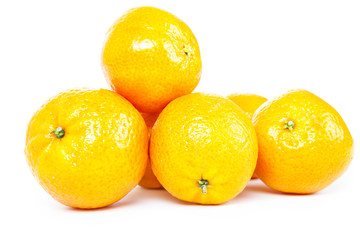 oranges on white background
