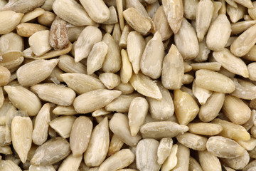 background of dried sunflower seeds