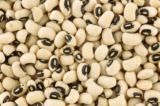 Background Of Dried Black Eyed Peas