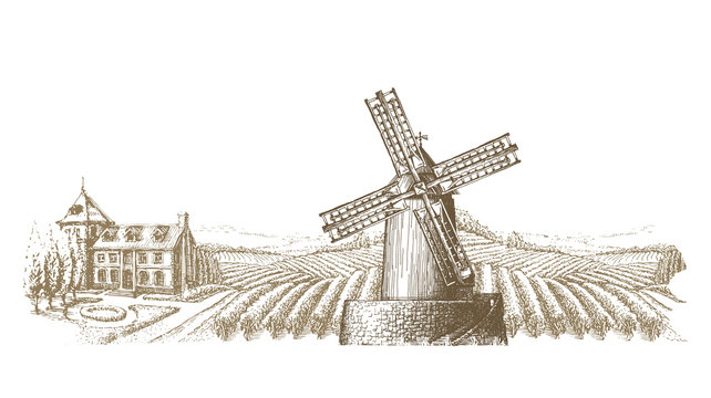 vineyard vector logo design template. farm or bountiful harvest