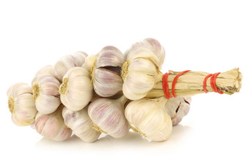 string of garlic bulbs on a white background