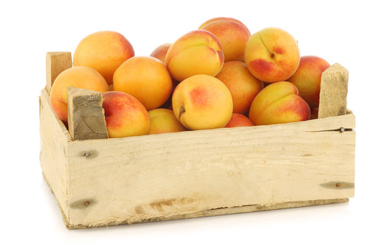 fresh colorful apricots  in a wooden crate on a white background