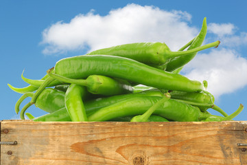  jalapeno peppers in a wooden crate against a blue sky 