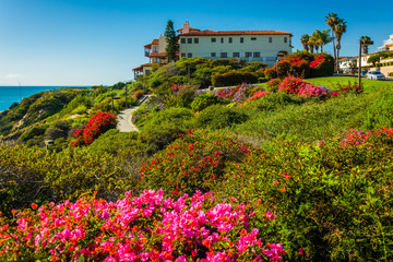 Colorful flowers and view of large house at Calafia Park, in San