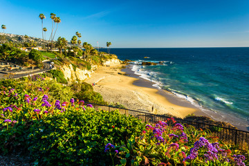 Flowers and view of the Pacific Ocean at Heisler Park, in Laguna © jonbilous
