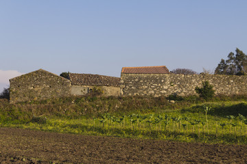 Huerta de berzas