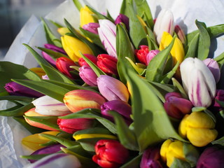 Tulpenstrauß