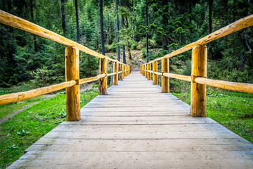 wooden bridge in forest