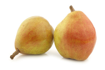 fresh "doyenne de comice" pears on a white background