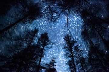 ein wunderschöner Nachthimmel, Milchstraße, Sternenspuren und die Bäume