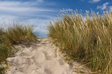 Düne am Strand von Tisvildeleje 2