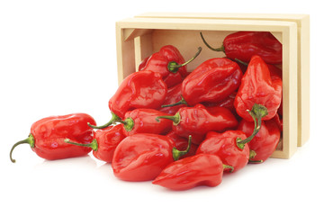 spicy hot red adjuma peppers in a wooden box on a white backgrou