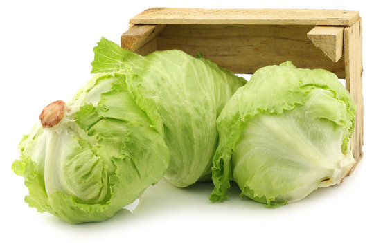 fresh iceberg lettuce in a wooden crate on a white background