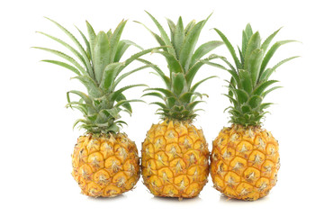 fresh mini pineapple fruit on a white background