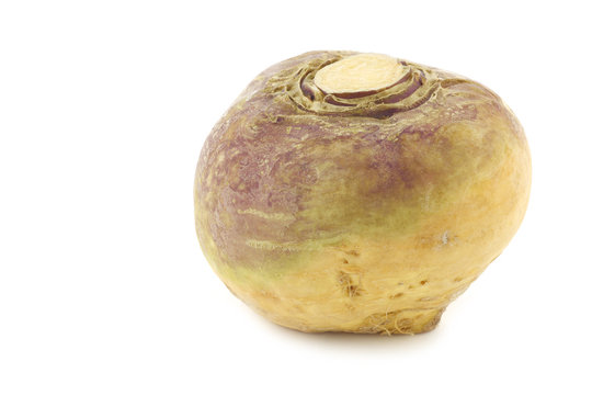 fresh turnip(Brassica rapa rapa) on a white background