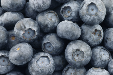 Background of fresh blueberries