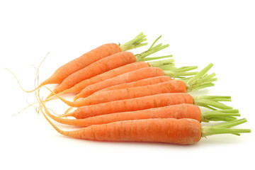 freshly harvested carrots on a white background