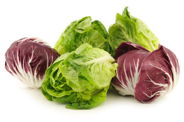 red "radicchio" lettuce and green "little gem"lettuce on a white