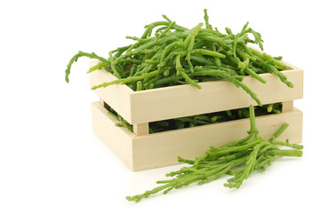 fresh Samphire in a wooden box on a white background