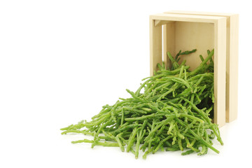 fresh Samphire in a wooden box on a white background