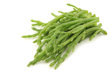 Fototapeta premium fresh Samphire on a white background