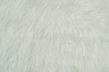 Fluffy white fur. Close up on white fur as background.