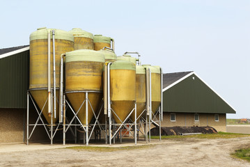 farmhouse with silo's in holland © tpzijl
