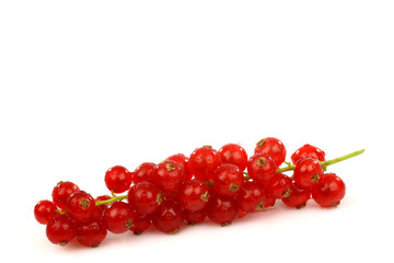 a string of red currant on a white background