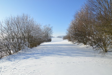 Fototapeta na wymiar Schnee, Bäume, Weg, Himmel