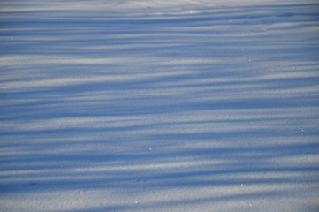 Schnee und Schatten