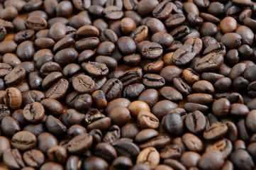 Coffee beans detail