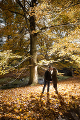 Obraz premium couple love glow back light fall leaf color