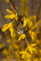 wedding ring yellow flower design