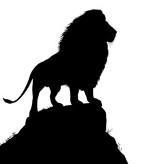 Obraz premium Majestatyczny lew