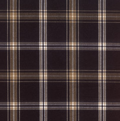 Plaid Fabric Texture