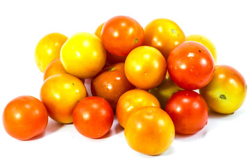 tomatoes on white background