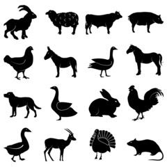 Fototapeta premium Farm animals icons set