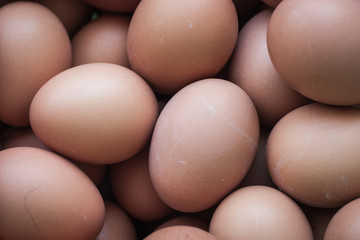 Chicken eggs