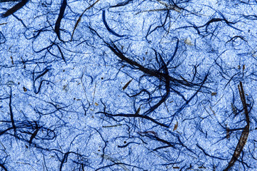 Deep blue natural paper texture closeup