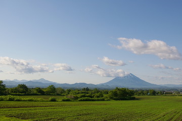 Naklejka premium 羊蹄山とニセコ連峰