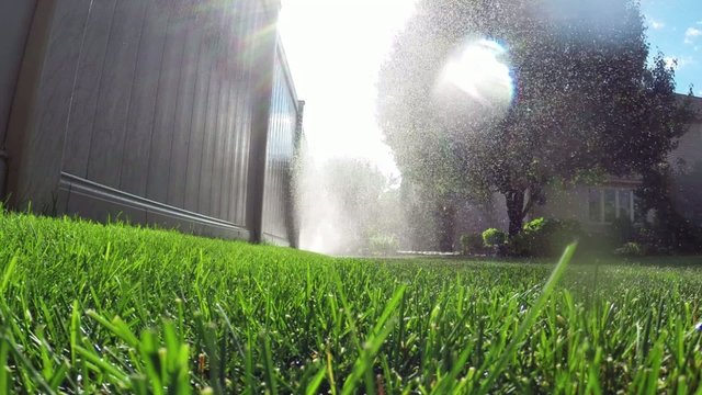 Oscillating lawn sprinkler watering grass in backyard